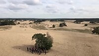 Kootwijkerzand | Kootwijk