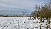 Lauwersmeer