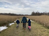it Wikelslân | Earnewald