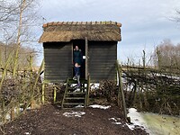 it Wikelslân