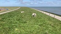 Lancasterdijk | Oosterend
