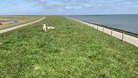 Lancasterdijk | Oosterend