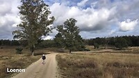 2020 | Gelderland
