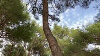 Solaris Camping Beach Resort | Šibenik
