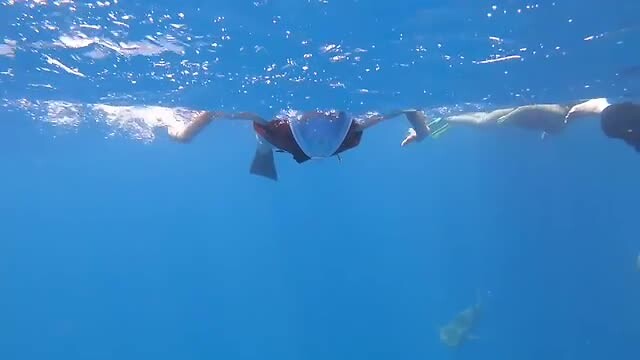 Dhiggiri