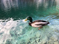 Plitvice Lakes National Park
