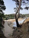 Platja de les Torretes