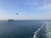 Texel