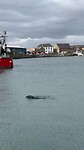 Howth