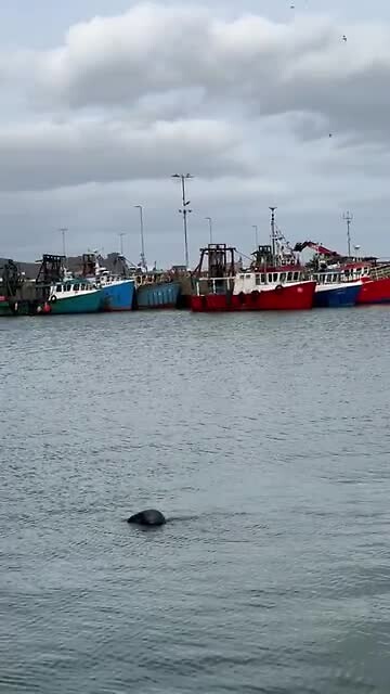 Howth