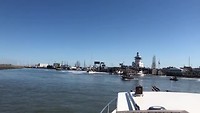 Tijdens de Tallships races door de haven