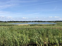 Waterbekken