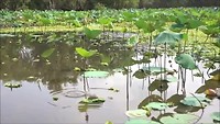 22 maart - indrukken uit Chau Doc en Ha Tien