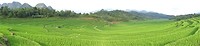 DSC05880