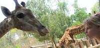 Chiang Mai Zoo 1