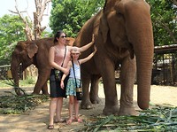Vriendelijke olifant