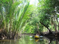 Kayak 2