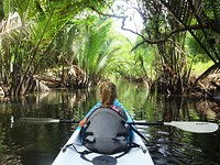 Kayak 3