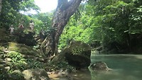 Jungletocht