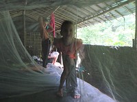 Jungle Camp