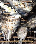 Barracuda op de grill