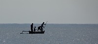 Vissen in de Zee van Flores