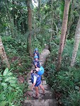 Bali jungle