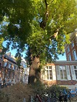 leuven 5