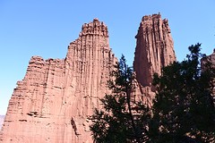DSC_0606