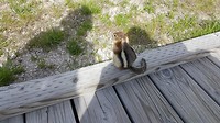 20180610_170051