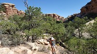 20180618_101611
