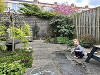 Tuin bijgewerkt