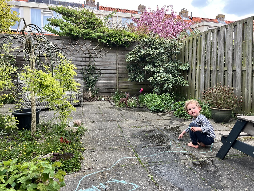 Tuin bijgewerkt