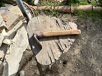 IMG_4511