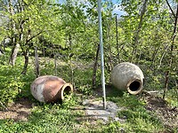 IMG_4512