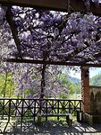 IMG_4610