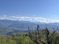IMG_9967