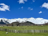 IMG_4722