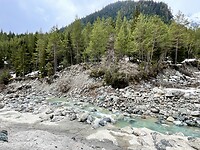 IMG_4984