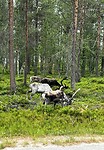 IMG_6701