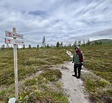 IMG_6742