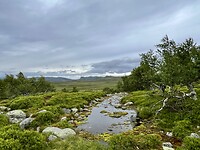 IMG_6758