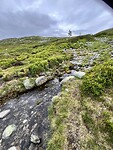 IMG_6763