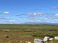 IMG_6871