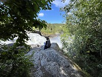 IMG_6933