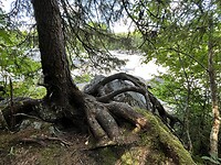 IMG_6934