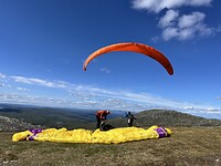 Paragliders
