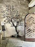 IMG_7015