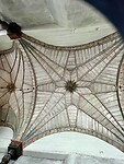 IMG_7016