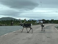 IMG_7056